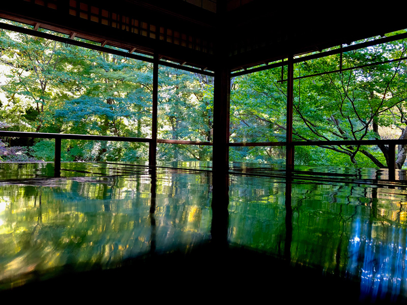風情溢れる秋の京都旅行を楽しみました！