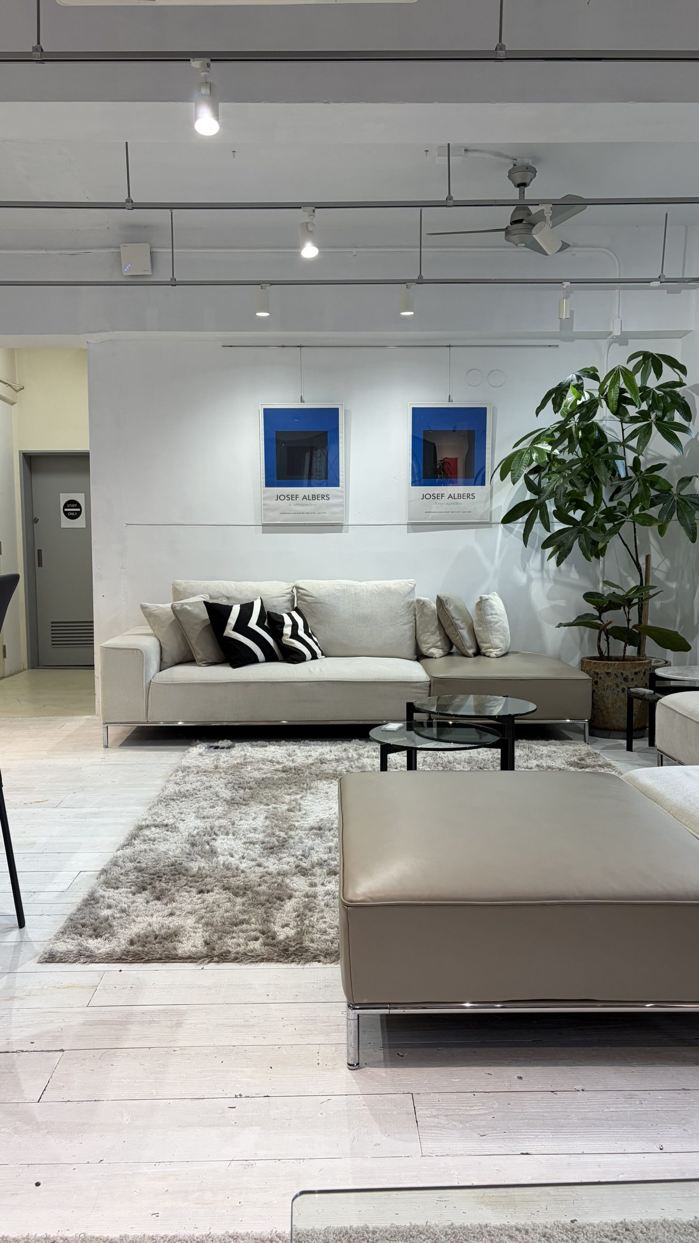 ブルーが映える大人のラウンジスタイル