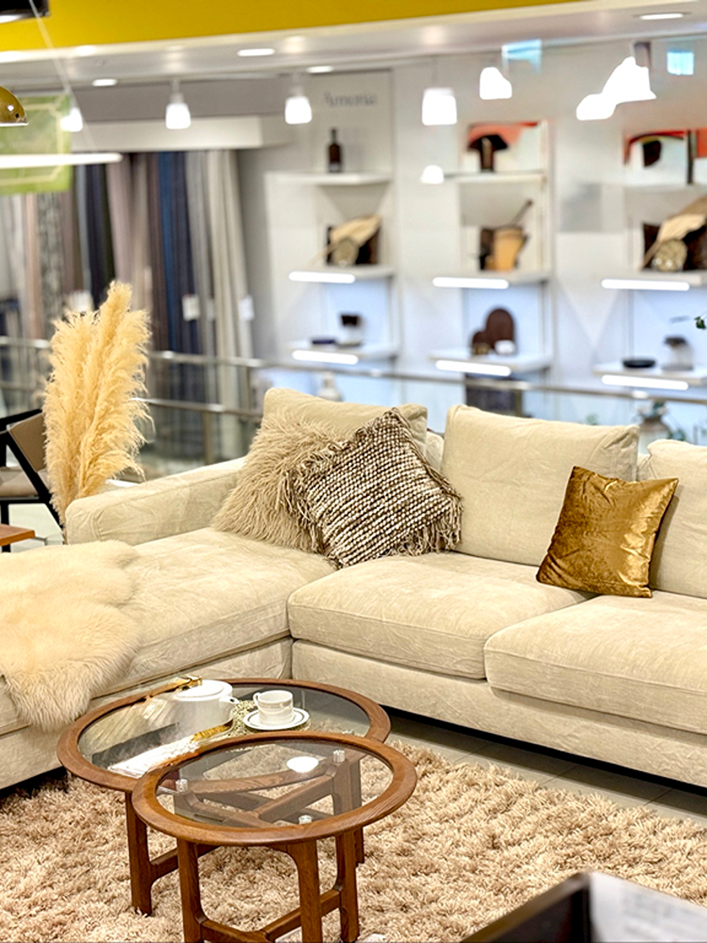 最上級モデルSKシリーズ　GIOIA（ジョイア）sk-003