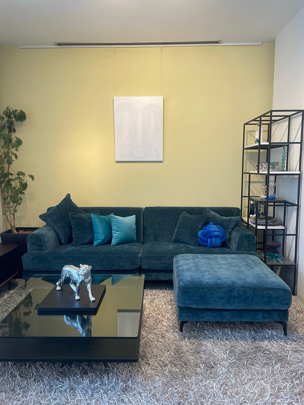 アクアティックオー×モダン