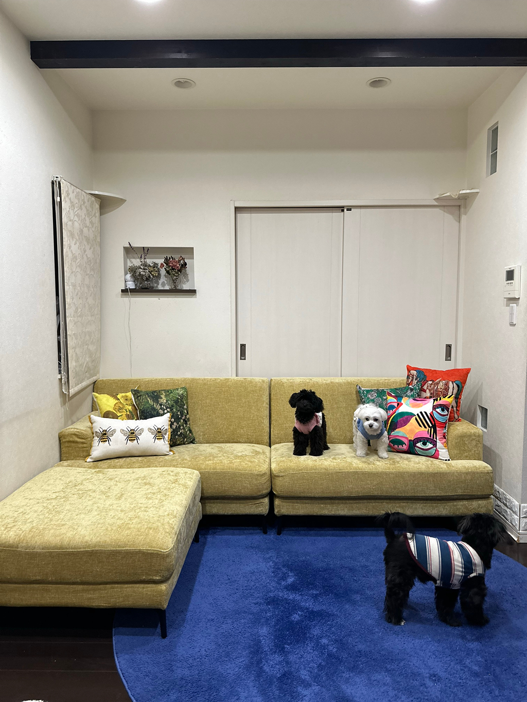 MY ROOM紹介