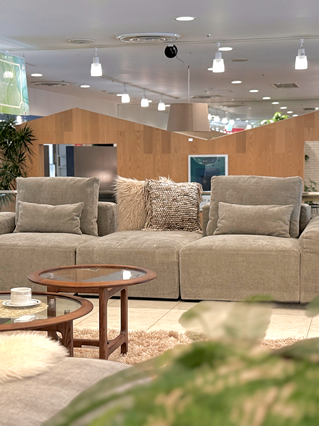 最上級モデルSKシリーズ　Chamelia（カメリア）sk-009