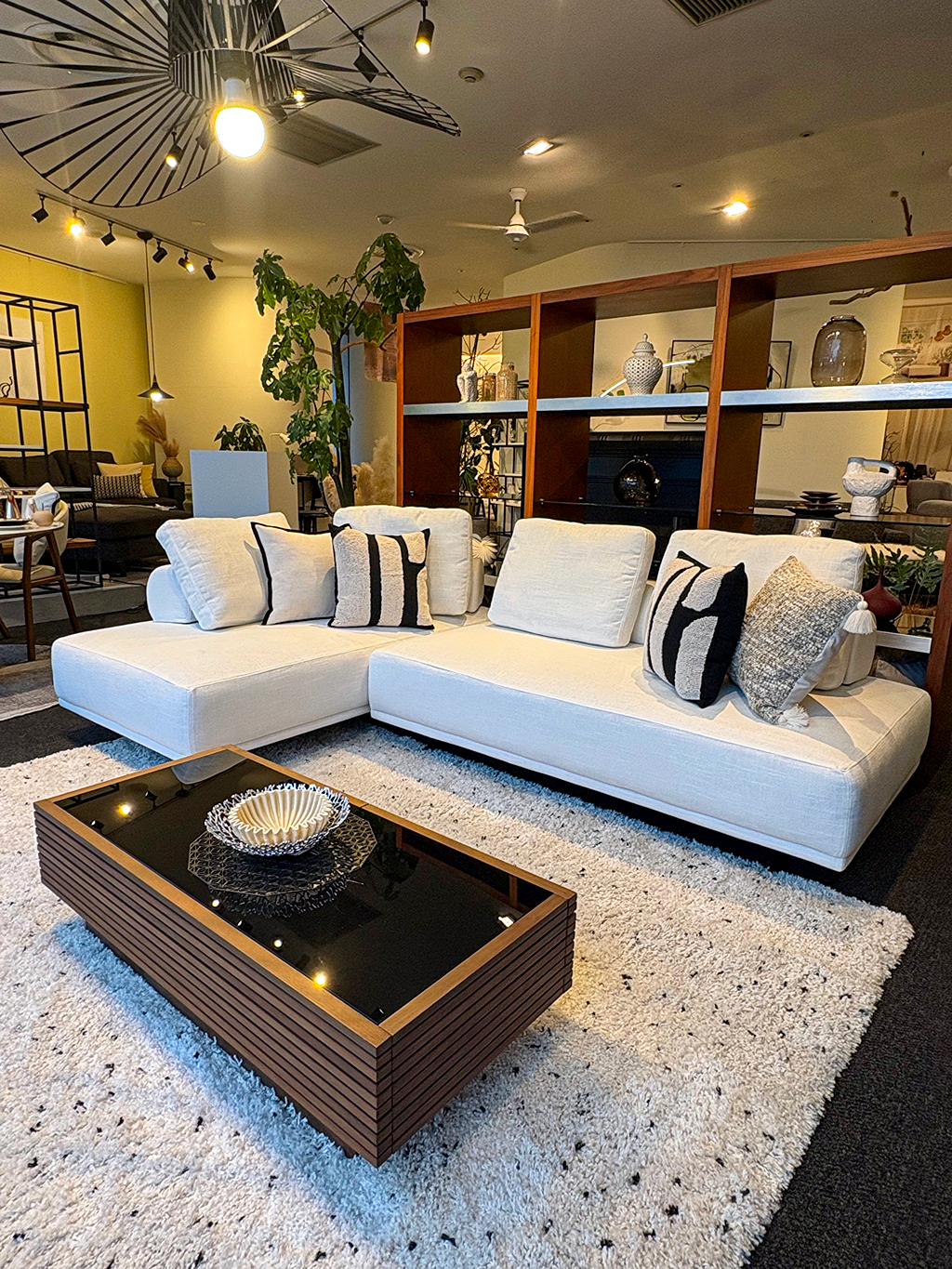 新商品のご紹介