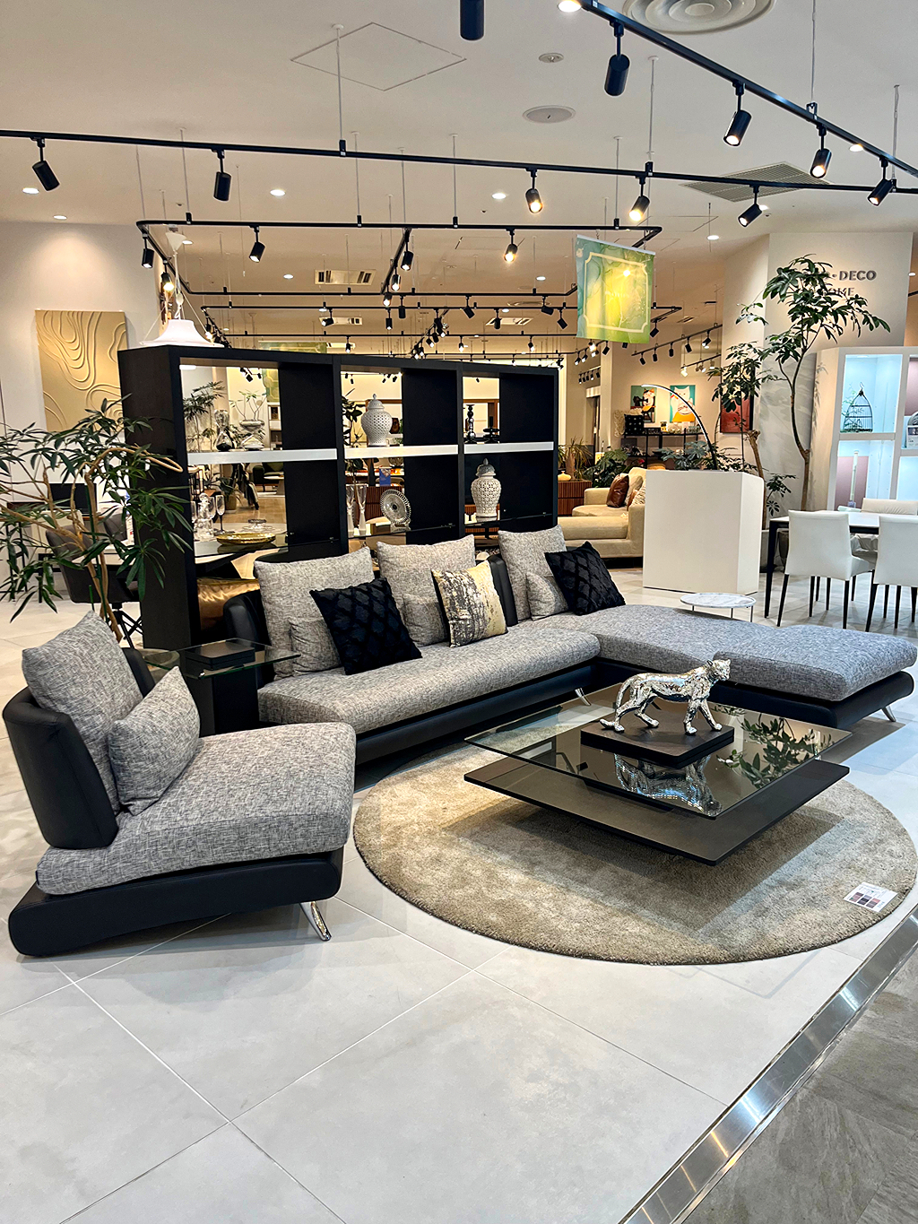 Bella curvaのご紹介